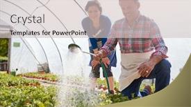  Presentation with greenhouse - Presentation with mature couple working in garden center watering plants in greenhouse background and a light gray colored foreground