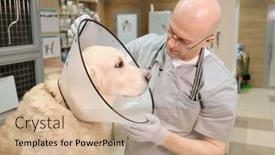  Presentation with medical procedure - Audience pleasing theme consisting of mature-doctor-in-uniform-examining backdrop and a coral colored foreground