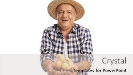  Presentation with two people holding hands - Slide deck enhanced with mature-farmer-holding-two background and a lemonade colored foreground