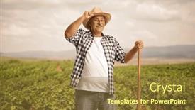  Presentation with grapevine - Slide deck consisting of mature-farmer-on-a-grapevine background and a tawny brown colored foreground