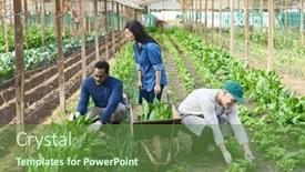  Presentation with greenhouse - Theme featuring mature-female-farmer-supervising-male background and a tawny brown colored foreground