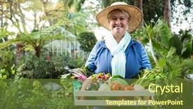  Presentation with confident - Amazing PPT theme having mature female gardener carrying vegetable backdrop and a tawny brown colored foreground