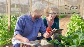  Presentation with greenhouse - Slide deck enhanced with mature-male-and-female-gardeners background and a soft green colored foreground