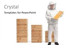  Presentation with bee - Presentation theme having mature-male-bee-keeper background and a white colored foreground