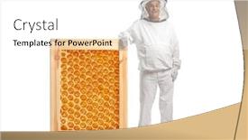  Presentation with bee - Presentation theme with mature-male-bee-keeper background and a white colored foreground