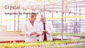  Presentation with seedling - Slide set enhanced with mature male biochemists discussing over seedling in greenhouse background and a lemonade colored foreground