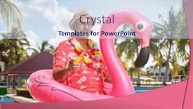  Presentation with flamingo - PPT theme featuring mature-male-tourist background and a sky blue colored foreground
