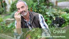  Presentation with vegetable garden - Beautiful presentation theme featuring mature man in garden smelling backdrop and a tawny brown colored foreground