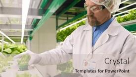  Presentation with research engineer - Slides with mature-professional-agro-engineer-choosing background and a  colored foreground