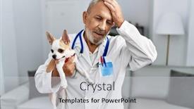  Presentation with dog - Presentation theme having mature-veterinarian-man-checking-dog background and a light gray colored foreground