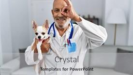  Presentation with health - Slide set with mature-veterinarian-man-checking-dog background and a  colored foreground