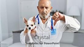  Presentation with dog - Presentation design featuring mature-veterinarian-man-checking-dog background and a lemonade colored foreground