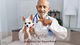  Presentation with dog - Presentation design enhanced with mature-veterinarian-man-checking-dog background and a coral colored foreground