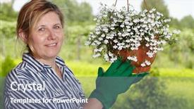  Presentation with flower woman - Colorful slide deck enhanced with mature woman check hanging basket backdrop and a  colored foreground
