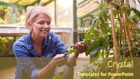  Presentation with greenhouse - 