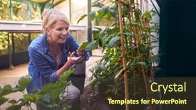  Presentation with greenhouse - 