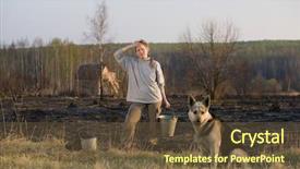  Presentation with dog house - Presentation theme having mature woman with dog and bucket standing at sunset at burned field after extinguish fire country house at background background and a tawny brown colored foreground
