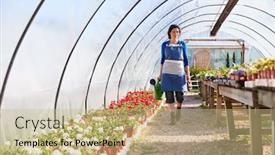  Presentation with greenhouse - Cool new presentation design with mature woman working in garden center watering plants in greenhouse with watering can backdrop and a coral colored foreground