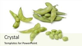  Presentation with max - Colorful PPT theme enhanced with max - fresh soybeans and pods backdrop and a soft green colored foreground