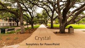  Presentation with texas - 