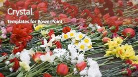  Presentation with memorial day - Slides enhanced with victory memorial to soviet army background and a tawny brown colored foreground