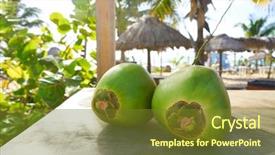  Presentation with mayan - Amazing PPT layouts having mayan riviera coconuts for drink backdrop and a tawny brown colored foreground