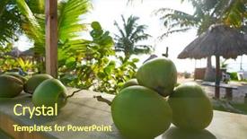  Presentation with mayan - Presentation theme having mayan riviera coconuts for drink background and a tawny brown colored foreground