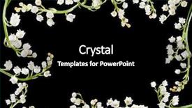  Presentation with mayflower - Beautiful theme featuring mayflower - border frame made of twigs backdrop and a black colored foreground