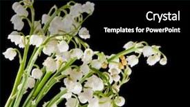  Presentation with mayflower - Colorful presentation theme enhanced with mayflower - bouquet of muguet or lilly backdrop and a black colored foreground