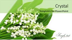  Presentation with mayflower - Presentation design featuring mayflower - lilies of the valley isolated background and a yellow colored foreground