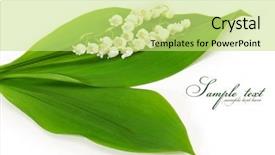  Presentation with lily of the valley close - Cool new PPT layouts with mayflower - lilies of the valley isolated backdrop and a yellow colored foreground