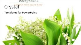  Presentation with lily - Cool new PPT theme with man is making yoga isolated over white background backdrop and a sky blue colored foreground