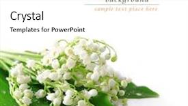  Presentation with mayflower - Amazing theme having mayflower - lily of the valley backdrop and a white colored foreground