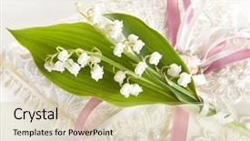  Presentation with mayflower - Cool new slides with blue and golden christmas balls on a golden tinsel backdrop and a coral colored foreground