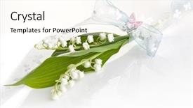  Presentation with mayflower - Cool new theme with mayflower - simple twig of lilly backdrop and a cream colored foreground