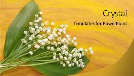  Presentation with mayflower - Amazing slides having mayflower backdrop and a  colored foreground