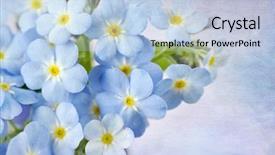  Presentation with forget - Audience pleasing slide set consisting of me not on blue background backdrop and a light blue colored foreground