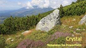  Presentation with old stone age - Presentation theme consisting of meadow among wild flowers tata background and a tawny brown colored foreground