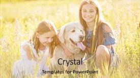  Presentation with golden yellow - PPT theme enhanced with meadow and cuddling golden retriever background and a coral colored foreground