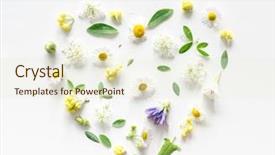  Presentation with heart flowers - Audience pleasing slide deck consisting of meadow flowers on white background backdrop and a cream colored foreground