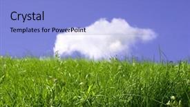  Presentation with fresh fruits and leafy greens dairy meat - Presentation having meadow focus point on nearest background and a  colored foreground