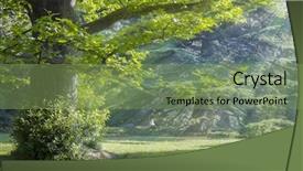  Presentation with mystic - Beautiful presentation theme featuring meadow in a mystical forest backdrop and a seafoam green colored foreground