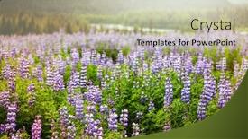  Presentation with streams summer - Presentation featuring meadow-in-alaska background and a mint green colored foreground