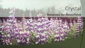  Presentation with meadow - PPT theme featuring meadow-in-alaska background and a sky blue colored foreground