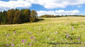  Presentation with meadow - Cool new presentation with meadow-in-blossom-nizke-tatry backdrop and a yellow colored foreground