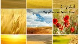  Presentation with land - Slides with meadow in spring collage background and a  colored foreground