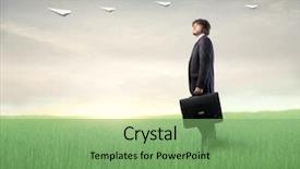  Presentation with meadow - PPT theme consisting of meadow observing some paper airplanes background and a seafoam green colored foreground