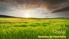  Presentation with green nature - Beautiful PPT theme featuring meadow-of-green-wheat backdrop and a tawny brown colored foreground