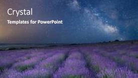  Presentation with lavender - PPT layouts consisting of meadow-of-lavender-at-nigt background and a ocean colored foreground