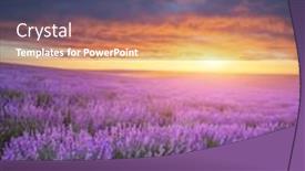  Presentation with lavender - Presentation design consisting of meadow-of-lavender-at-sunset background and a ocean colored foreground